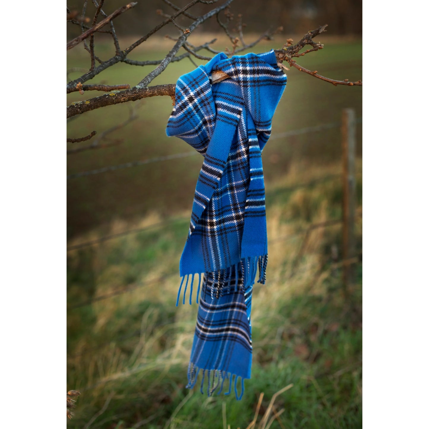 Bon Scott Blue Scarf