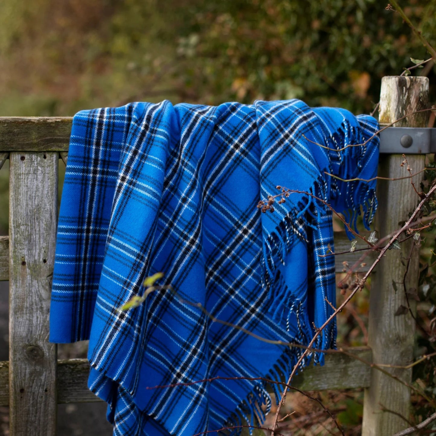 Bon Scott Blue Throw